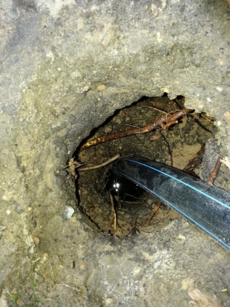 Spices ierīkošanas nosacījumi