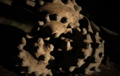 Dziļurbuma ierīkošana