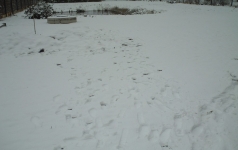 Ūdens aku urbšana ziemā,Medemciemā